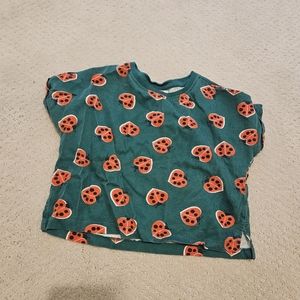 Hanna Andersson 4T Ladybug shirt